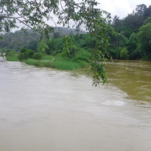 ಕರುನಾಡಿಗೆ ಕುಡಿಯುವ ನೀರಿನ ಹಾಹಾಕಾರ: ರಾಜ್ಯ ಸರ್ಕಾರದ ವಿರುದ್ಧ ಬಿಜೆಪಿ ವಾಗ್ದಾಳಿ